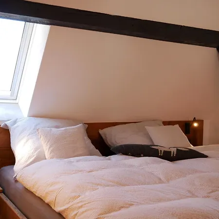 Rinken9 Apartamento *