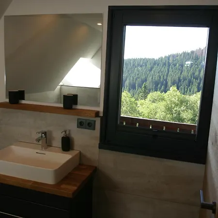 Apartamento Rinken9 Hinterzarten