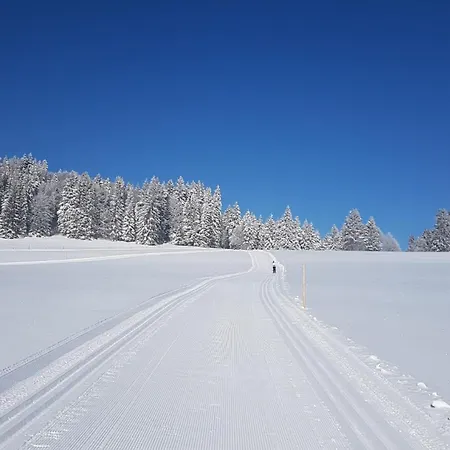Rinken9 Apartamento Hinterzarten