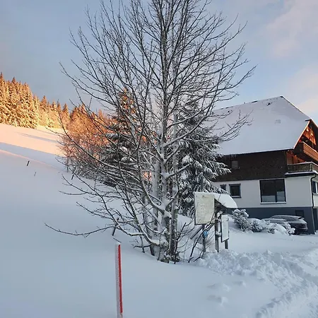 Rinken9 Apartment Hinterzarten