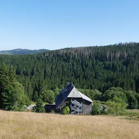 Rinken9 Apartment Hinterzarten