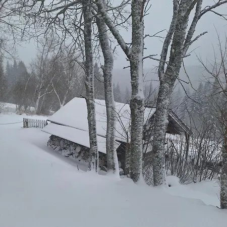 Rinken9 Hinterzarten