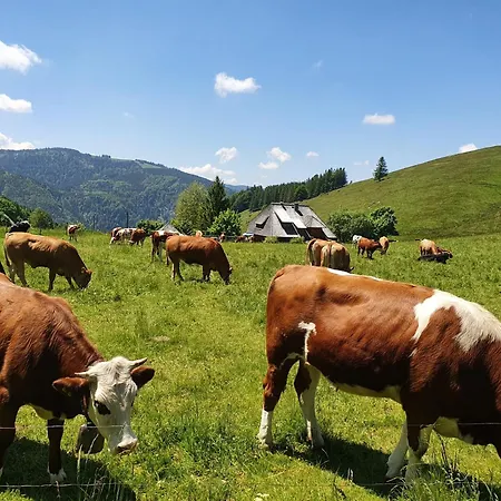 Rinken9 Διαμέρισμα