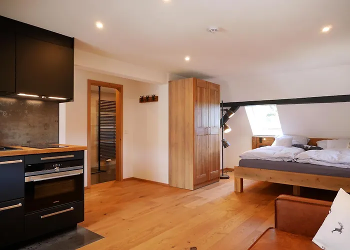 Appartement Rinken9 Hinterzarten