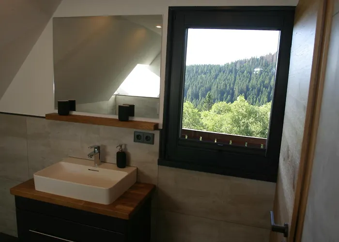 Appartement Rinken9 Hinterzarten