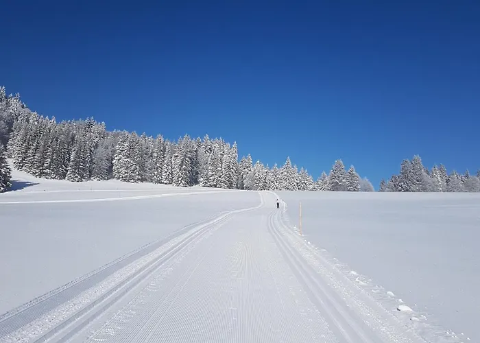 Rinken9 Lägenhet Hinterzarten