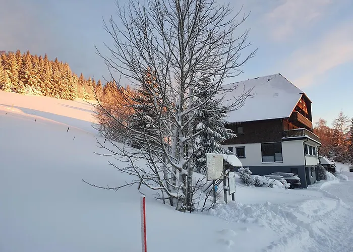 Rinken9 Lägenhet Hinterzarten