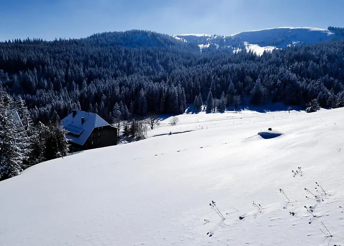 Rinken9 Hinterzarten