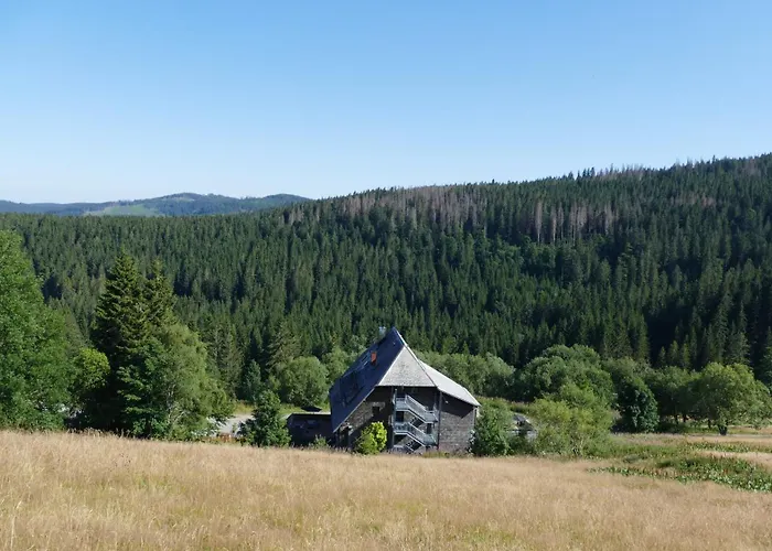 Rinken9 Lägenhet Hinterzarten
