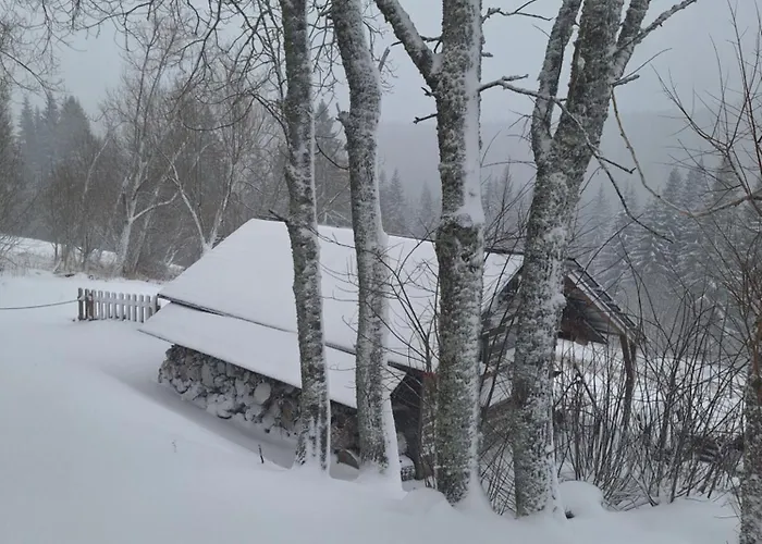 Rinken9 Hinterzarten